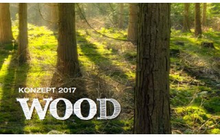 Новинки 2017 года продолжаются! Концепт 2017 - "Wood"